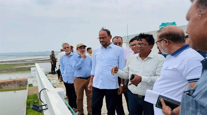 সরকারি চিংড়ি এস্টেটের উন্নয়নে সব  ধরনের সহযোগিতা দেবে সরকার  প্রতিমন্ত্রী