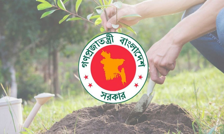 ২৫ কোটি গাছ রোপণের কার্বন ক্রেডিট বিক্রি করে বিলিয়ন ডলার আয় করতে পারে বাংলাদেশ