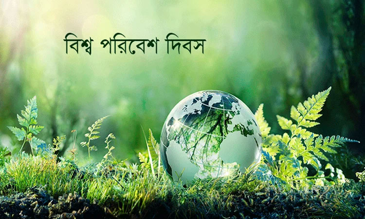 বিশ্ব পরিবেশ দিবস কি শুধুই একটি দিবস ?
