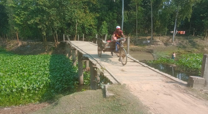 বাঁশ-কাঠের নড়বড়ে সাঁকোতে ঝুঁকি নিয়ে পারাপার স্থানীয়দের